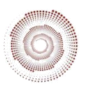 AVSI Systems logo